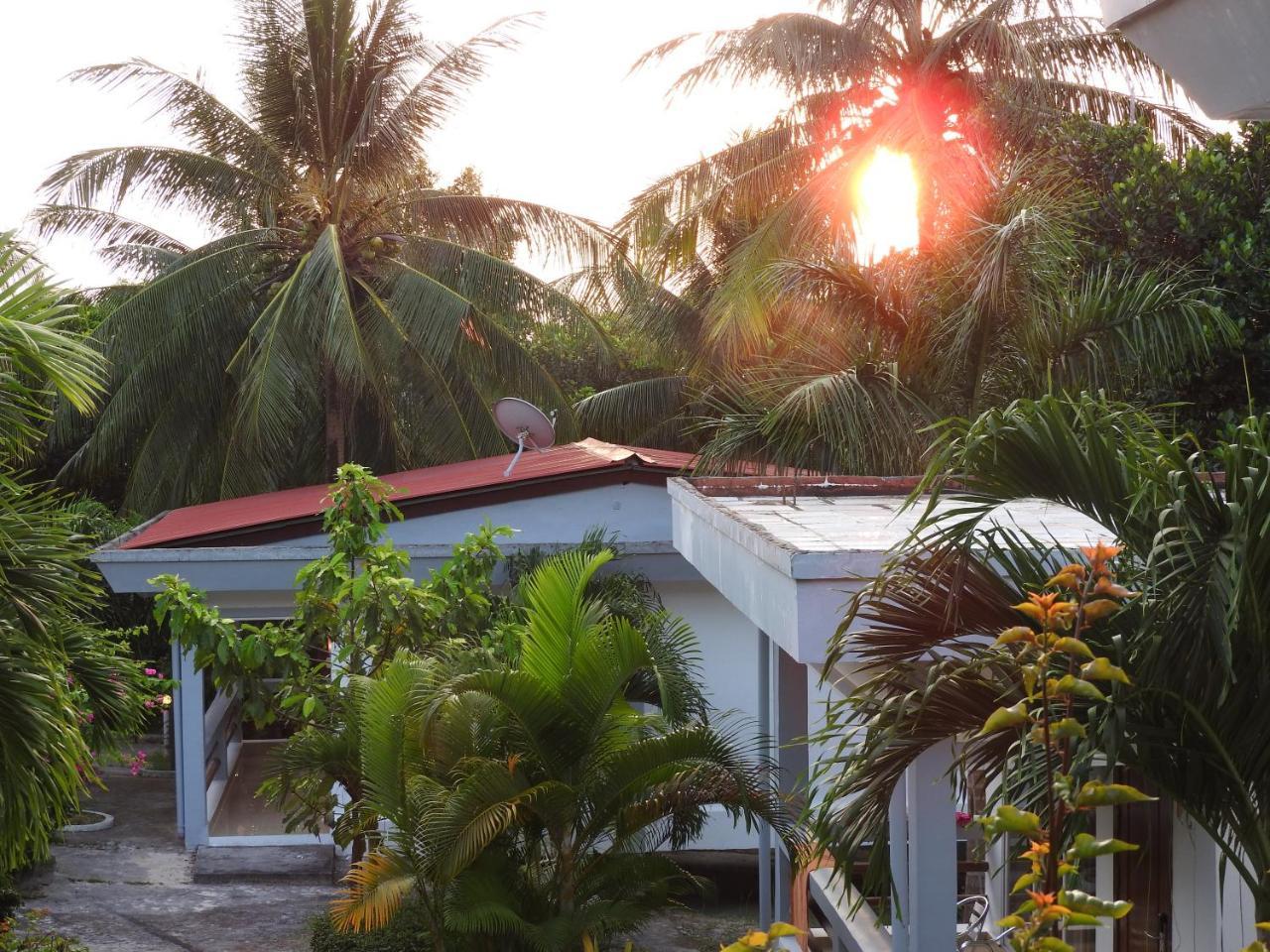 Ettroms- på 80 kvm, med 1 bad i Coconut Beach Derm Tkov Village Eksteriør bilde